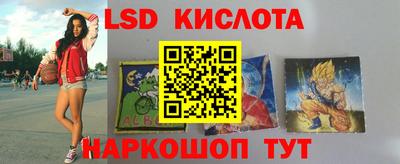ПСИЛОЦИБИНОВЫЕ ГРИБЫ Кохма