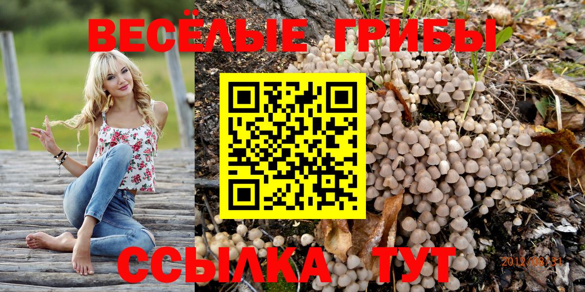 Каспийск  закладка  Вход с VPN  Псилоцибиновые грибы GOLDEN TEACHER 