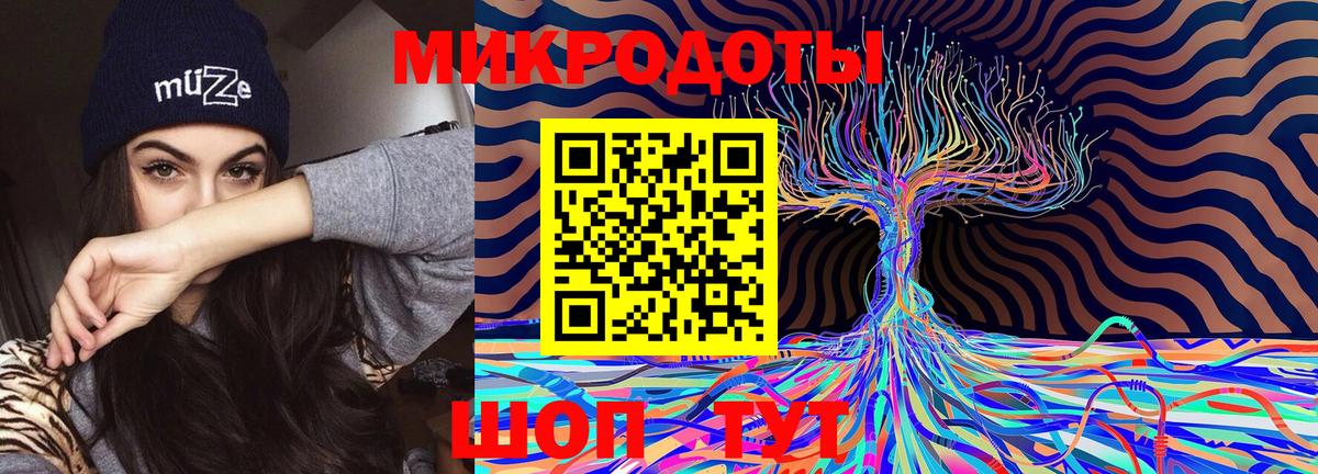 Псилоцибиновые грибы прущие грибы Каспийск